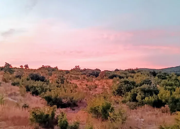 Hills View Appartement